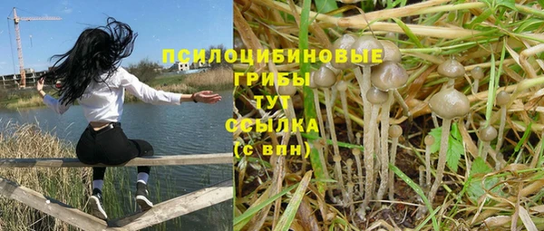 соль курить ск Алексин