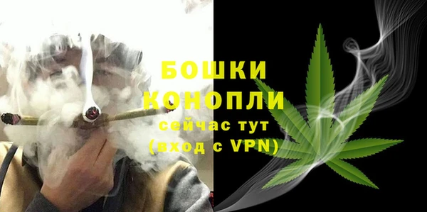 PSILOCYBIN Алзамай