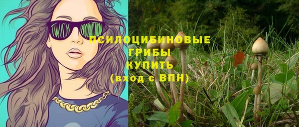 PSILOCYBIN Алзамай