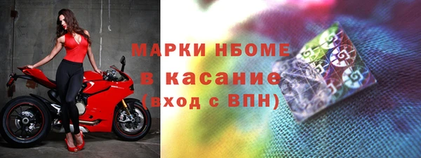 PSILOCYBIN Алзамай
