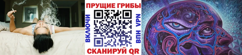OMG вход  Оленегорск  Галлюциногенные грибы MAGIC MUSHROOMS 